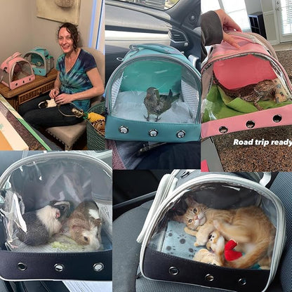 Guinea Pig Carrier Backpack, Clear Bubble Window Backpack for Guinea Pig, Bunny Rat Bird (Orange, Carrier)