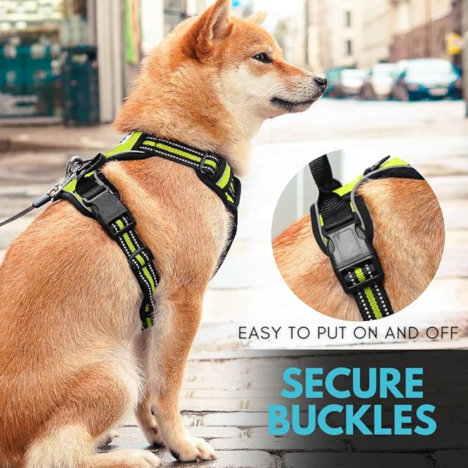 Ziggy Pet Dog Harness Adjustable Nylon Mesh Vest with Leash Clips (Green, Large)