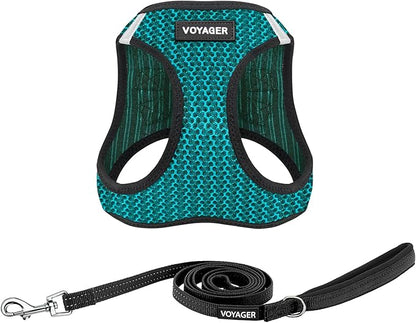 Voyager Step-in Air All Weather Mesh Harness and Reflective Dog 5 ft Leash Combo with Neoprene Handle, for Small, Medium and Large Breed Puppies by Best Pet Supplies - Turquoise (2-Tone),S