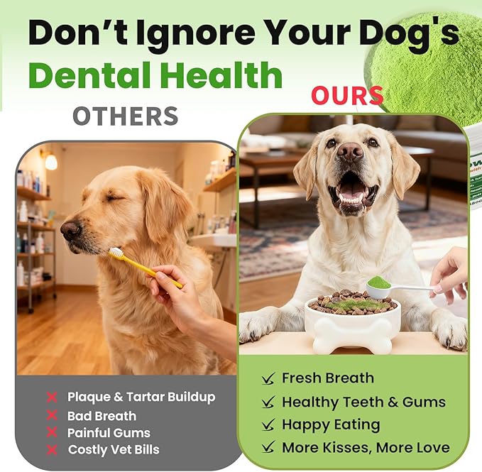 Dental Powder for Dogs Teeth Cleaning Powder Probiotic Dental Care Supplement for Pet Dog,with Brown Algae, Plaque Tartar Remover, Fresh Breath, Sensitive Stomach Support, No Brush