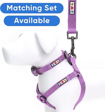 Pawtitas Adjustable Dog Collar - Heavy Duty, Waterproof, Quick-Release Buckle - Orchid, Small Breed