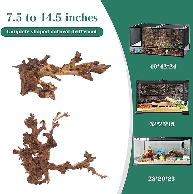 PINVNBY Natural Large Driftwood for Aquarium Fish Tank Decorations, Driftwood for Reptile Tank Bearded Dragon Tank Accessories Terrarium Decor (7.5 to 14.5 inches / 2 Pack)