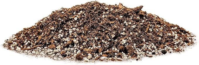 GARDENERA Premium Organic Potting Soil for Pumpkin - (4 Quart Bag)