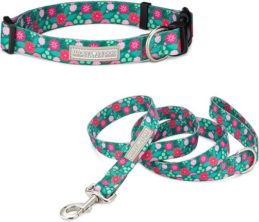 Lucky Love Dog - Adjustable Dog Collar and Leash Set with Easy Click Buckle for Small to Large Dogs, Durable, & Comfortable Collar for Male & Female Dogs, Puppies & Adult Ones - Penny Combo, Small