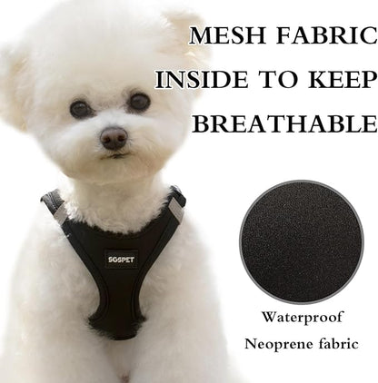 Dog Harness and Leash Set, Adjustable Mesh Puppy Harness, No Pull Soft Breathable Reflective Vest Pet Harnesses for Small to Large Dogs, Cats, Dog Vest Harness for Pets (Black, M)