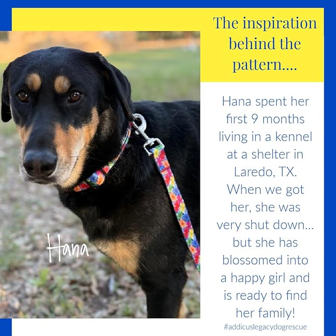 Lucky Love Dog - Easy Click Buckle Dog Collar with Leash Set Combo, Durable & Comfortable for Male & Female Dogs, Pet Collar for Small to Large Dogs, Secure Fit - Hana Combo, XS