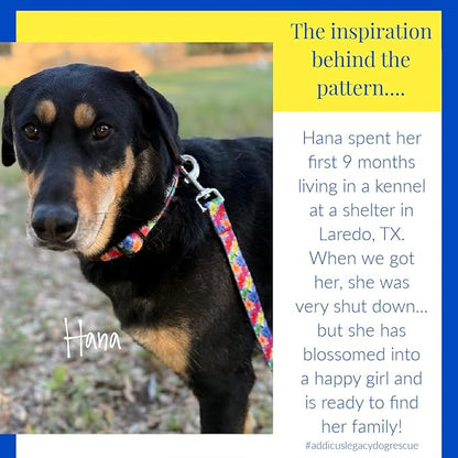 Lucky Love Dog - Easy Click Buckle Dog Collar with Leash Set Combo, Durable & Comfortable for Male & Female Dogs, Pet Collar for Small to Large Dogs, Secure Fit - Hana Combo, Medium