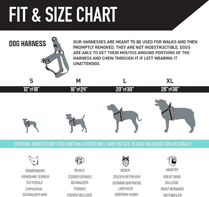 Wolfgang Heavy Duty Adjustable Dog Harness, Pull-Tested to Over 800 lbs for Walking & Training, DigiFloral Print, Extra Large
