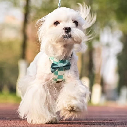 PUPTECK Dog Harness and Leash Set Small Sized, Step-in Cute Puppy Harness, Soft Lightweight Padded Vest, Escape Proof No Pull Pet Harnesses Easy for Walking, Plaid Green & White, XXS