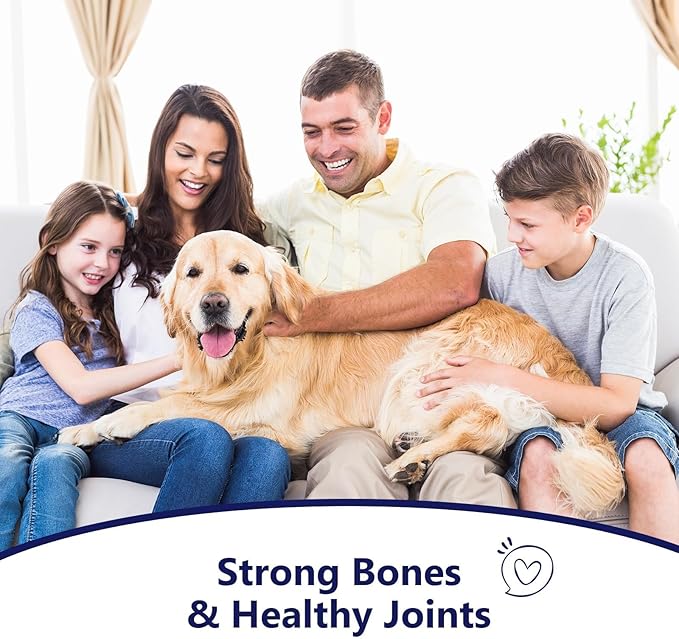 Glucosamine for Dogs - Dog Joint Supplement Powder, MSM & Turmeric - Joint Pain Relief, Mobility Support for All Ages & Breeds - 60 Ct. Box