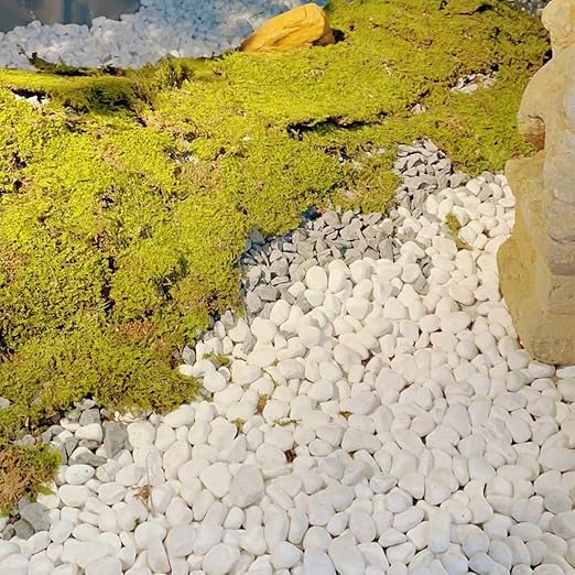 20lb White River Rocks for Landscaping, 5/8 Inch Natural Pebbles for Indoor Plants, Snow White Decorative Stones, Ideal for Fish Tank, Vases, Crafting, Home Decor and Garden Rocks