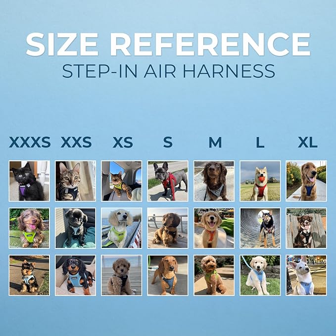 Voyager Step-in Air All Weather Mesh Harness and Reflective Dog 5 ft Leash Combo with Neoprene Handle, for Small, Medium and Large Breed Puppies by Best Pet Supplies - Royal Blue/Black Trim, X-Small