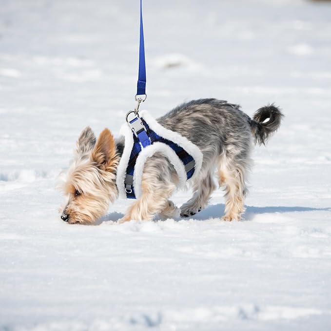 AIITLE Plush Reflective Dog Harness and Leash Set - Plaid Pattern, Warm, Soft, No-Pull, Secure with Hook & Loop Fastener, Adjustable with Padded Interior for Small Dogs (Blue, XXS)