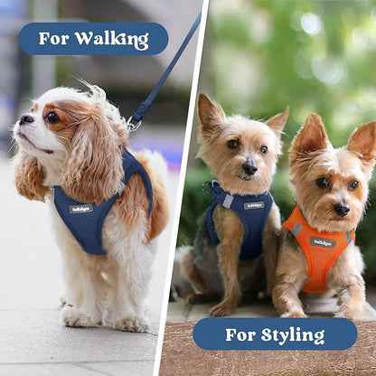 rabbitgoo Small Dog Harness, Step-in Soft Mesh Puppy Vest with Safety Buckle, Breathable Reflective Pet Harness for Small Sized Dogs, Navy Blue XS