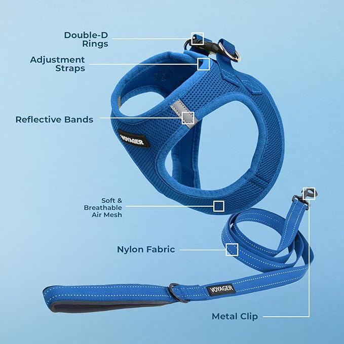 Voyager Step-in Air All Weather Mesh Harness and Reflective Dog 5 ft Leash Combo with Neoprene Handle, for Small, Medium and Large Breed Puppies by Best Pet Supplies - Set (Royal Blue), XS