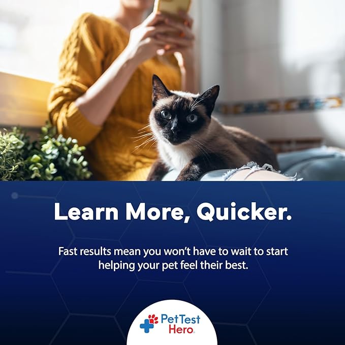 Pet Food & Environmental Sensitivity Hair Sample Testing Kit – Over 460 Items Tested – at-Home Non-Invasive Collection for Dogs & Cats – Informational Report for Pet Owners