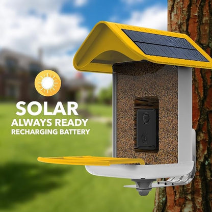 Easy Quick Set Up, Smart Bird Feeder with Camera - Dual Solar Panels,1080P High-Definition Wireless Outdoor Video, Durable with Squirrel Alarm for Home, Back Yard, and Identify 10,000+ Bird Species