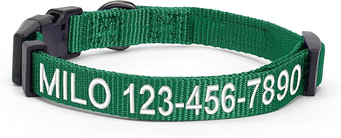 Pawtitas Personalized Dog Collar Extra Small Dog Collar Embroider with Name Phone Number Puppy Collar Adjustable Customized Collar for Extra Small Dogs Breeds Puppy Green Dog Collar