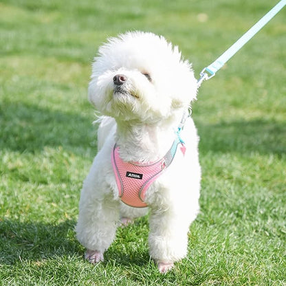 AIITLE Small Harness for Puppy with A Leash - Summer Dog Vest Harness with Super Breathable Mesh, Reflective No-Pull Pet Harness for Outdoor Walking, Camping for Small Dogs, Cats Pink XXS