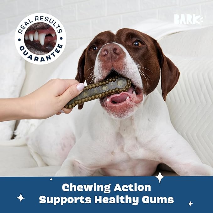 Barkbox Bright Durable Dental Chew Sticks for Dogs - Made for Tough Chewers, Medium Breeds (15 Chews)