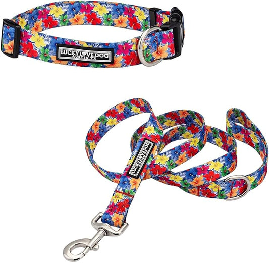 Lucky Love Dog - Easy Click Buckle Dog Collar with Leash Set Combo, Durable & Comfortable for Male & Female Dogs, Pet Collar for Small to Large Dogs, Secure Fit - Hana Combo, XS