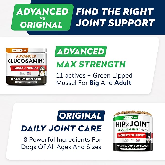 Advanced Glucosamine Hip & Joint Supplement for Senior Dogs - Green Lipped Mussel & Collagen - Hip & Joint Pain Relief - Large & Small Breed - Joint Health - Bacon - 120 Chews
