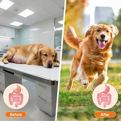 Dog Probiotics Chews for Digestive and Immune Support, Tasty Soft Chews for All Breeds and Ages, Duck Flavor Daily Supplement, 120 Count, Holiday Wellness Treats for Dogs