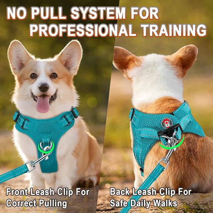Dog Harness Step in Dog Vest Harness, Reflective Adjustable Puppy No Pull Harness Breathable Soft for Small and Medium Dogs Cats, Ocean Blue, XS