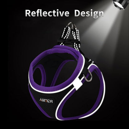 AMTOR Small Dog Harness with Leash Set, No Escape Easy Walk Puppy Harnesses for Training Walking, Step-in Reflective Soft Dogs Vest for XS S Medium Extra-Small Large Sized Dog(S,Black/Purple)
