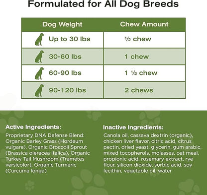 The Vet's Dog Immune Support DNA Defense Chews, Dog Allergy and Immune Chews + Hip and Joint Supplement for Dogs, Organic Turkey Tail Mushroom, Turmeric, Barley Grass, Chicken Liver Flavor (30 Count)
