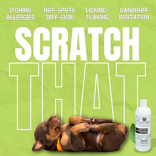 Lillian Ruff PRO Formula HypoCare+ Oatmeal Dog Shampoo | Clinically Tested Hypoallergenic Formula for Itch & Allergy Relief – Fragrance-Free with Aloe, Vitamin E & Pro-Vitamin B5 – Made in USA