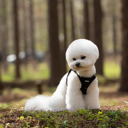 Dog Harness and Leash Set, Adjustable Mesh Puppy Harness, No Pull Soft Breathable Reflective Vest Pet Harnesses for Small to Large Dogs, Cats, Dog Vest Harness for Pets (Black, M)