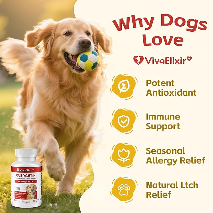 Quercetin & Bromelain Tablets for Dogs — for Skin Allergy, Atopic Dermatitis, Ear Infection Treatment & Joint Inflammation — Immune & Anti-Inflammatory Support — Vet-Formulated