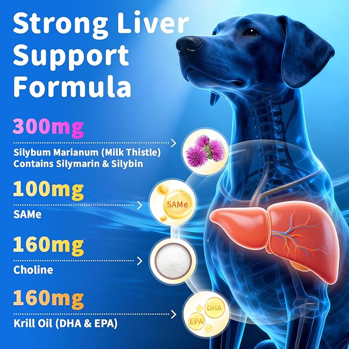Senior Dog Liver & Joint Supplement – Same, Milk Thistle (Silybin), Glucosamine, MSM for Liver Health Detox, Mobility, Joint Pain Relief, Cognitive & Vitality Support, Chicken Flavor, 90Ct