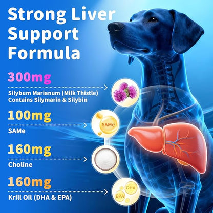 Senior Dog Liver & Joint Supplement – Same, Milk Thistle (Silybin), Glucosamine, MSM for Liver Health Detox, Mobility, Joint Pain Relief, Cognitive & Vitality Support, Chicken Flavor, 90Ct