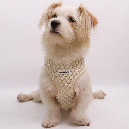 Floral Brilliance Dog Harness with D-Ring Leash Clip Set – Adjustable No-Pull Harness for Tiny Toys XX Small Size Dogs Chihuahua, Pomeranian, and Yorkshire Terrier (Gold, XXS)