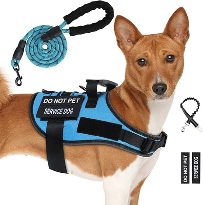 No Pull Dog Harness Small Medium Sized Dog, Service Dog Harness and Leash Set with 4 Patches, Adjustable Easy Walk Dogs Harnesses with Handle, Dogs Vest Harnesses French Bulldog, Chihuahua(Blue, M)