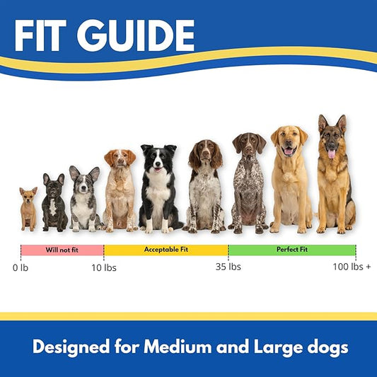 Educator FT-330 Finger Trainer E Collar for Dog Training with Remote - 1/2 Mile Range, Waterproof, 100 Stimulation Levels, Tone or Vibration Mode, Night Light Tracking for Small, Medium & Large Dogs