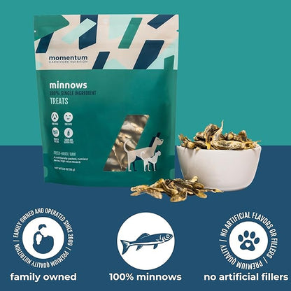 Momentum Carnivore Nutrition Freeze-Dried Minnows Dog Treats & Cat Treats – Single-Ingredient, High-Protein, Grain-Free, Natural Whole-Fish Treat – Made in USA – 2 oz Bag