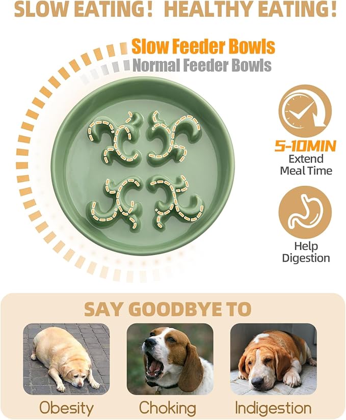 Slow Feeder Dog Bowl, 0.6 Cups Ceramic Dog Food Dish for Fast Eaters Small Breed, Puzzle Bowl for Small Dogs and Cats(Green)