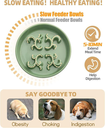Slow Feeder Dog Bowl, 0.6 Cups Ceramic Dog Food Dish for Fast Eaters Small Breed, Puzzle Bowl for Small Dogs and Cats(Green)