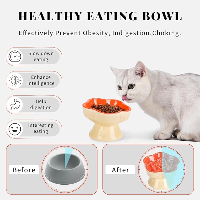 S&Q's CERAMICS Raised Slow Feeder Cat Bowl, Ceramic Glass Elevated Pet Food Bowl Small Dogs Slow Feeder, Flower Shaped Cute Dish for Dry and Wet Food (Orange, 5.8")
