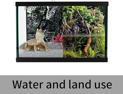 waazoorep Reptile Glass Terrarium Tank 12 * 12 * 8" Full View with Top Ventilation, Amphibians Box Habitat Enclosure Cage for Frog,Spiders,Dubia Cockroach,Praying Mantis,Cricket,Tarantula,Hermit Crab