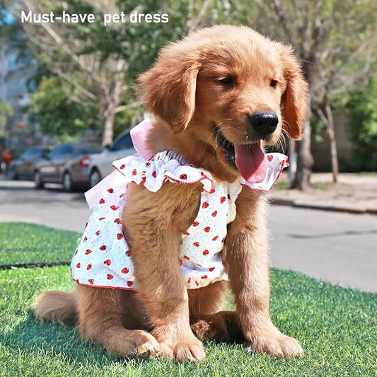 ANIAC Strawberry Dog Dress for Small Medium Dog Cotton Puppy Clothes Girl Dog Princess Dress Sleeveless Cat Outfit Bow Summer Pet Clothing (Strawberry, 2XL)
