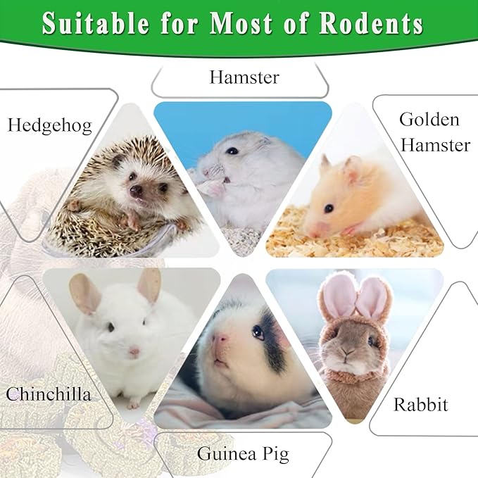 FIPASEN Rabbit Chew Toys for Teeth, 18PCS Natural Timothy Hay Chew Toy, Improve Dental Health for Bunny/ Chinchilla/ Guinea Pig/ Hamsters/ Holland Lop, Small Rodent Pet Molar Teeth Treats Toys