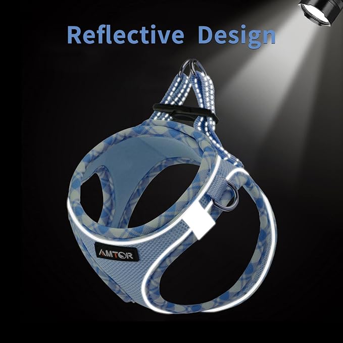 AMTOR Small Dog Harness with Leash Set, No Escape Easy Walk Puppy Harnesses for Training Walking, Step-in Reflective Soft Dogs Vest for XS S Medium Extra-Small Large Sized Dog(XS Size,Blue/White)