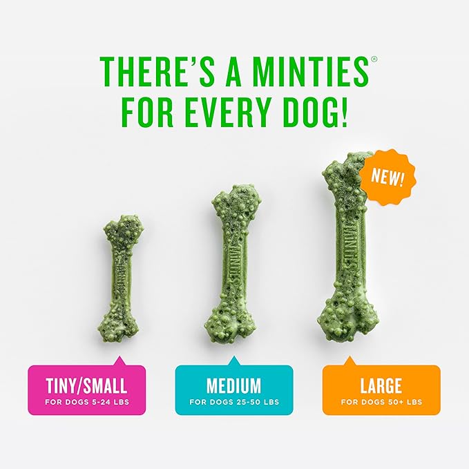 Minties Dog Dental Bone Treats, Tiny/Small Dental Dog Treats, 16 Ounces, Cleans Teeth, Fight Bad Breath, Removes Plaque and Tartar, 16 Count