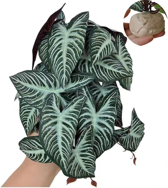 KERUIDENG Reptile Plants,Terrarium Decor,Amphibian Habitat Decor,Artificial Plants for Gecko Chameleon Snake Tortoise Tank Accessories with Base(Xanthosoma sagittifolium)