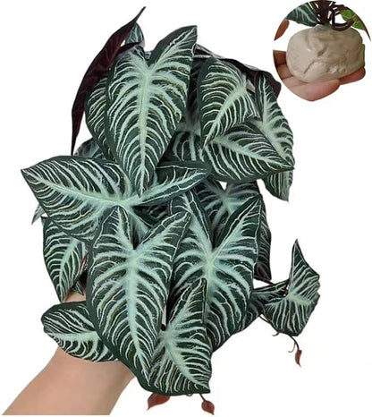 KERUIDENG Reptile Plants,Terrarium Decor,Amphibian Habitat Decor,Artificial Plants for Gecko Chameleon Snake Tortoise Tank Accessories with Base(Xanthosoma sagittifolium)