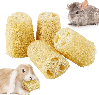 BNOSDM Bunny Chew Toys Natural Loofah 4PCS Bunny Teeth Grinding Toy Rabbit Fiber-Rich Treats Pet Entertainment Accessories for Rabbits Chinchillas Guinea Pig（XL）